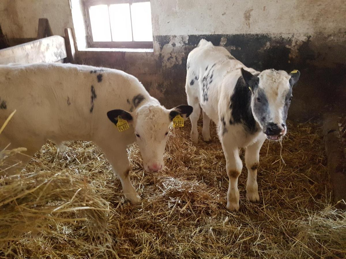 Ferienwohnung Mit Bauernhofflair Löbau Buitenkant foto